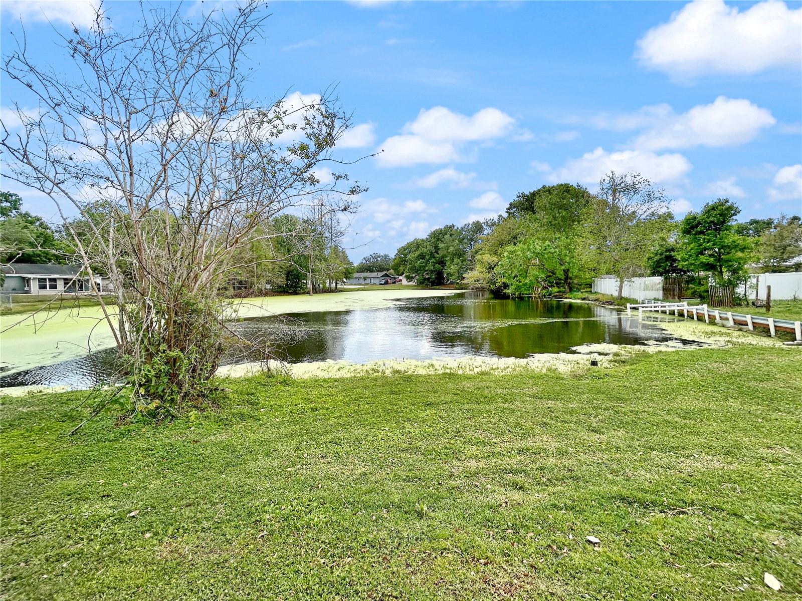 1248 HONEYTREE LN W, LAKELAND, FL, 33801