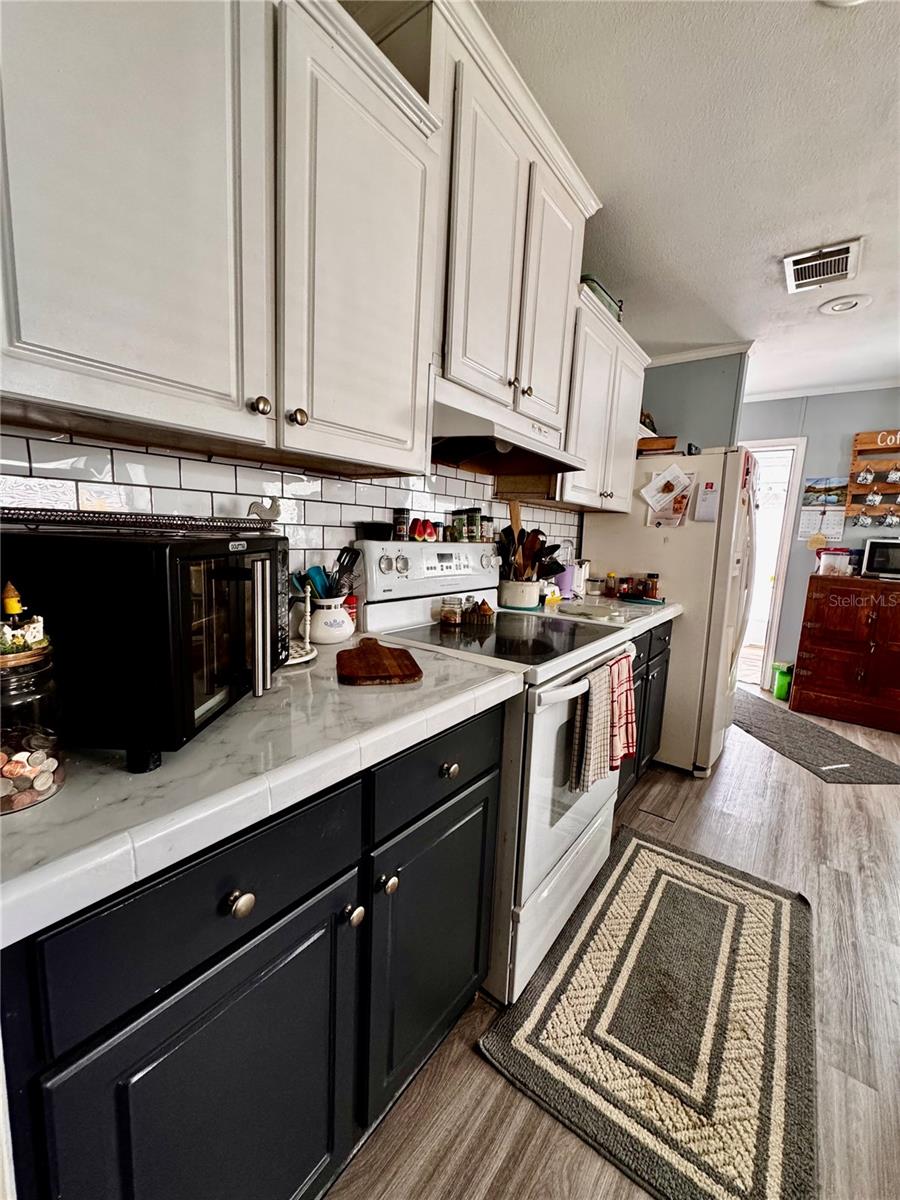 12075 SE 139TH AVE, OCKLAWAHA, FL, 32179