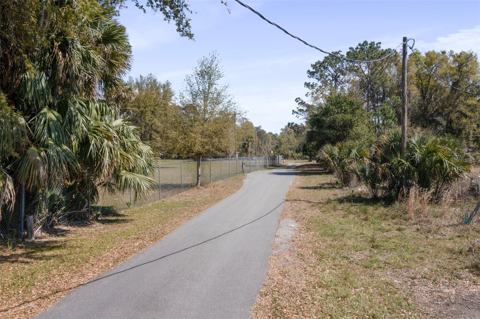 LONE LAUREL LN, GEORGETOWN, FL, 32139
