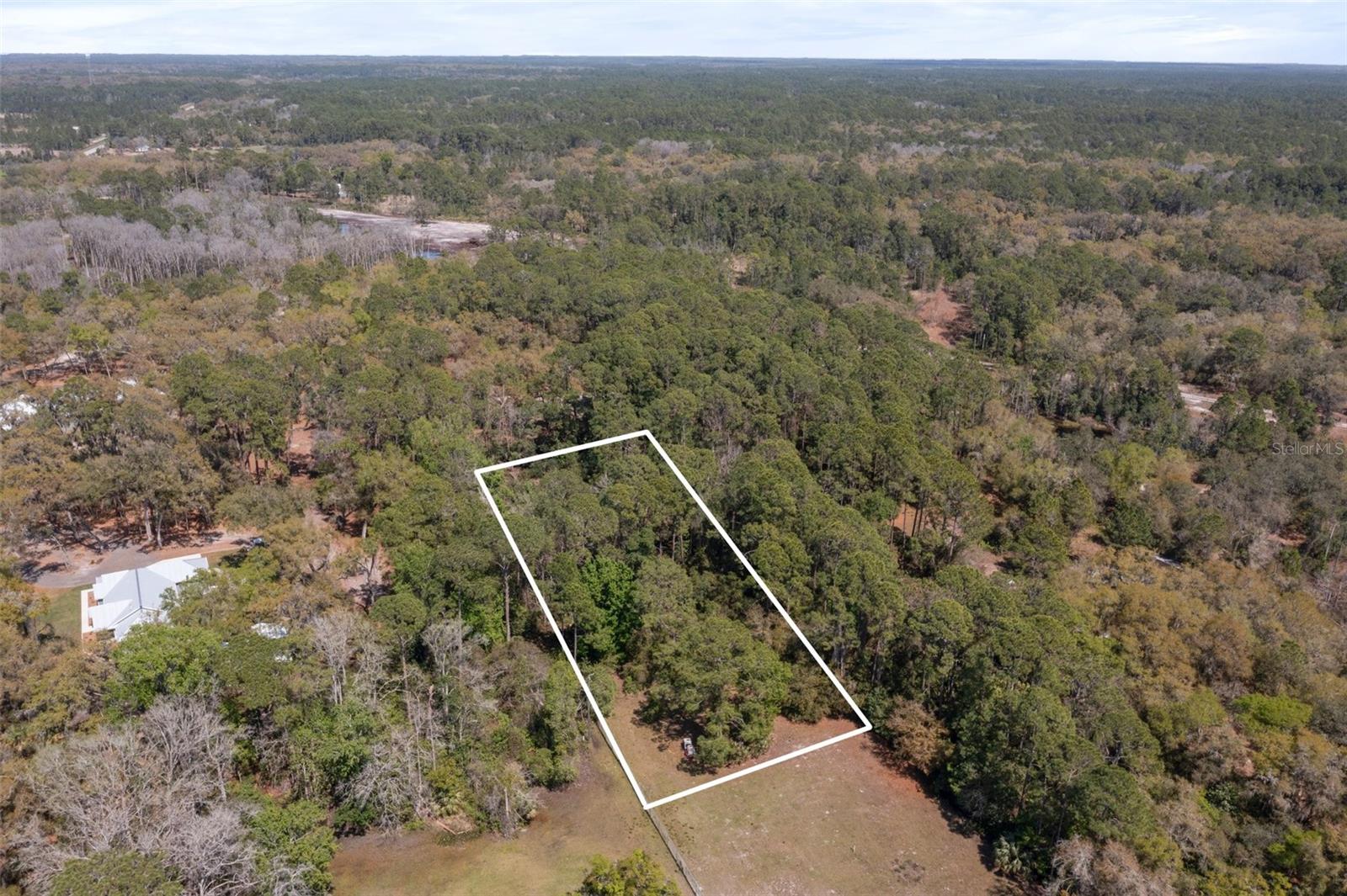 LONE LAUREL LN, GEORGETOWN, FL, 32139