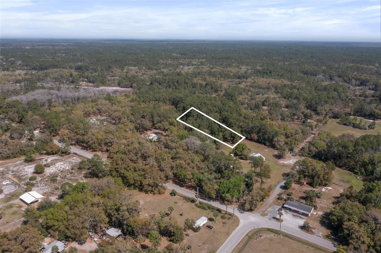 LONE LAUREL LN, GEORGETOWN, FL, 32139