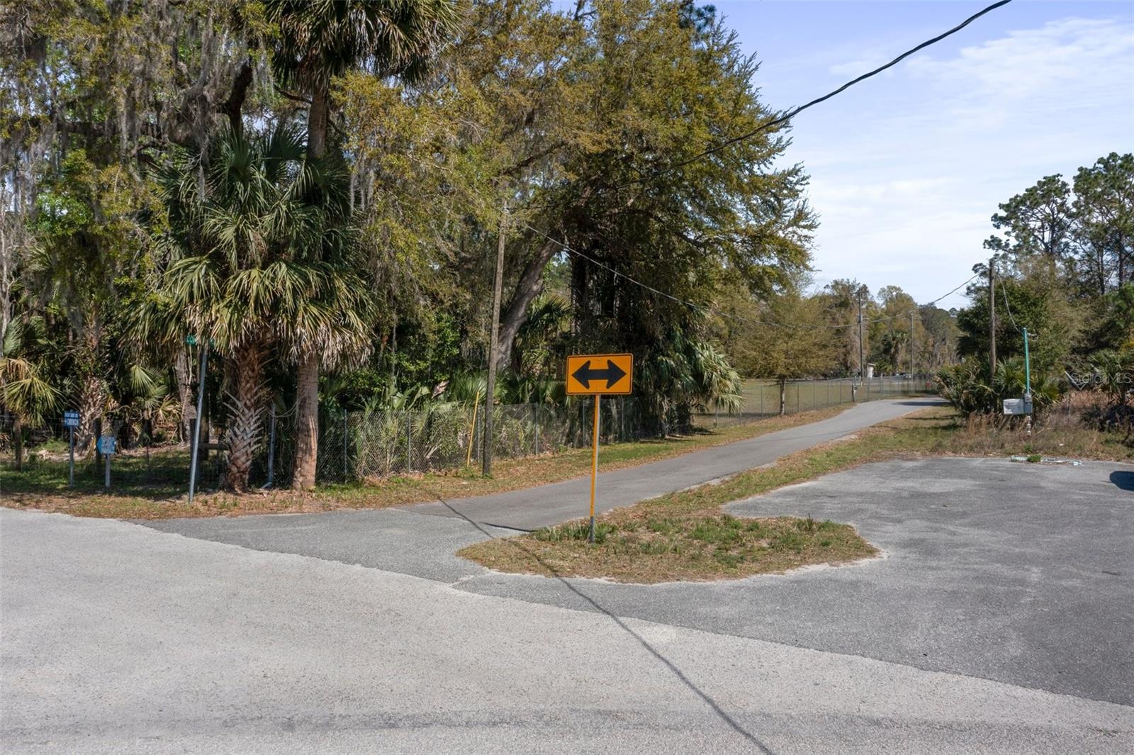 LONE LAUREL LN, GEORGETOWN, FL, 32139
