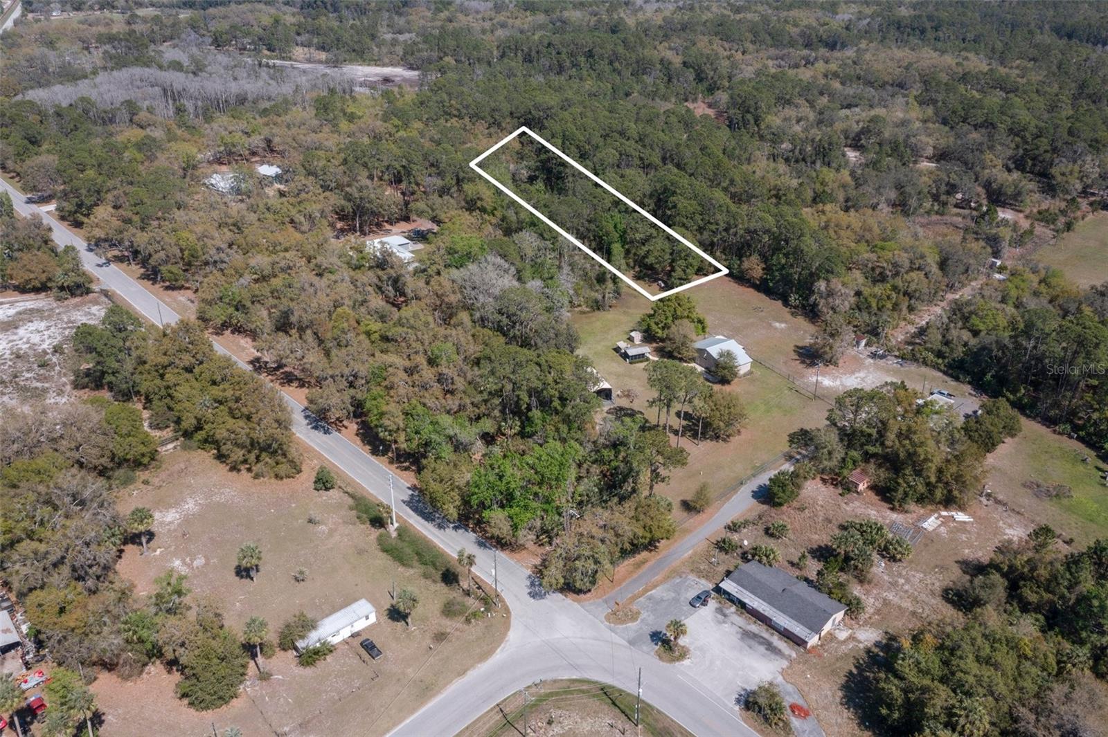 LONE LAUREL LN, GEORGETOWN, FL, 32139