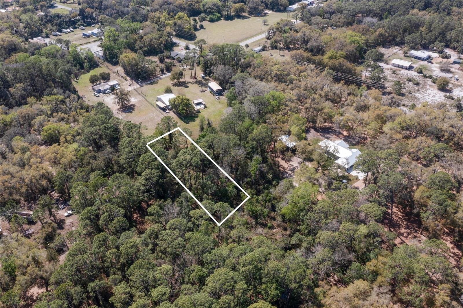 LONE LAUREL LN, GEORGETOWN, FL, 32139