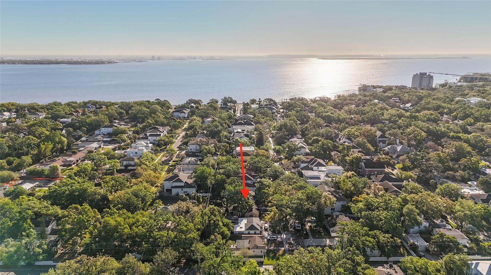 2931 W COACHMAN AVE, TAMPA, FL, 33611