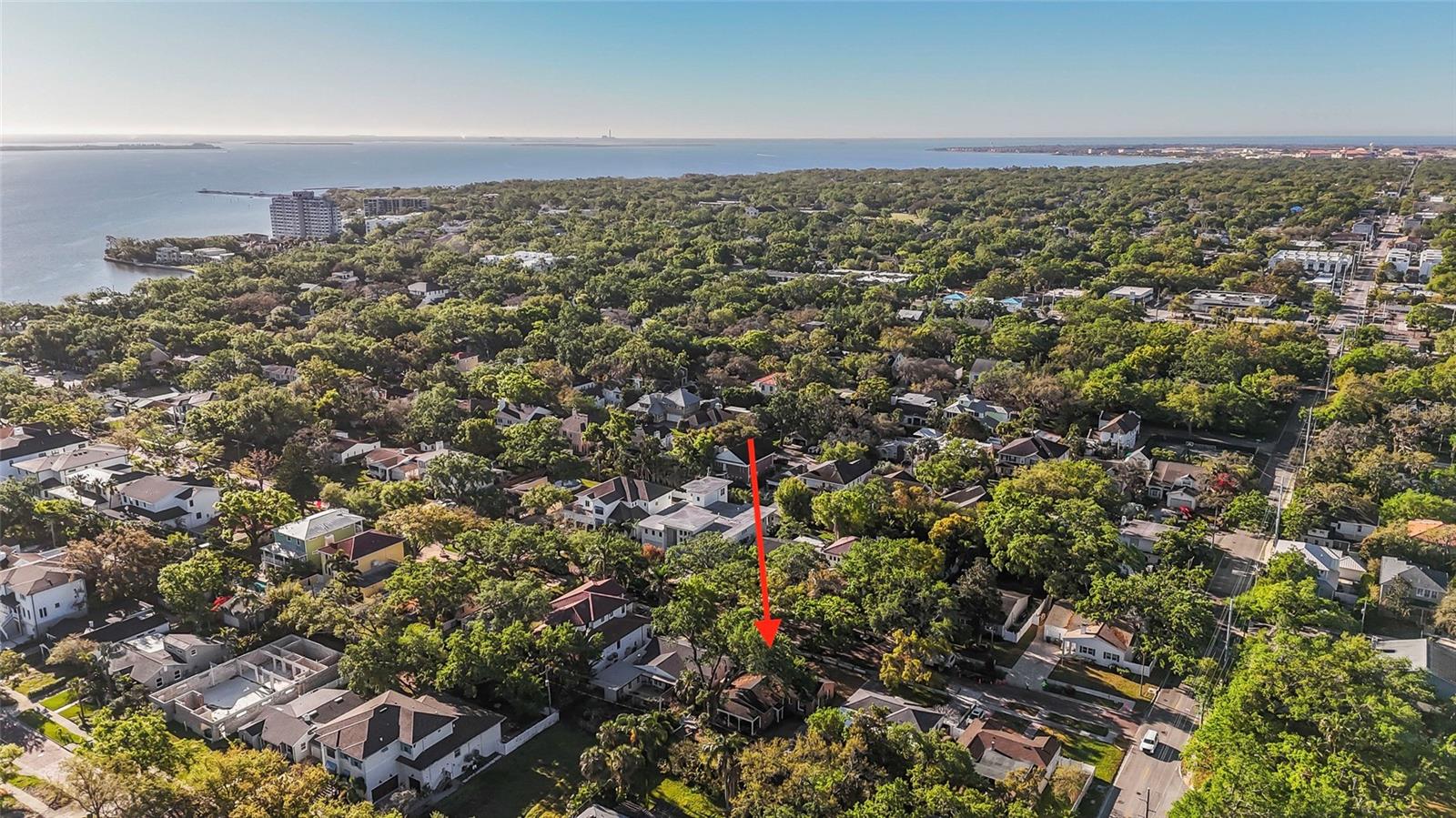 2931 W COACHMAN AVE, TAMPA, FL, 33611