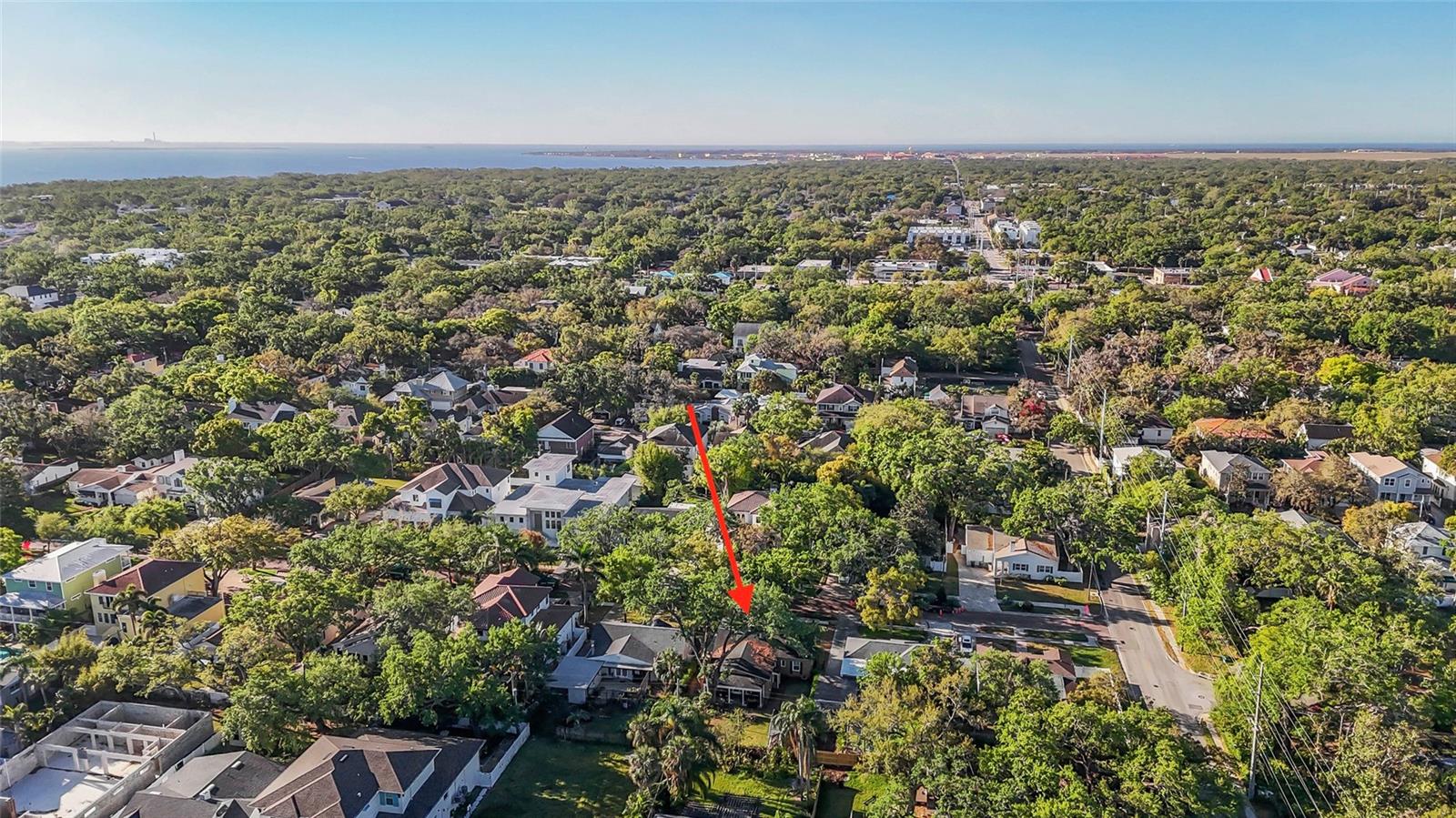 2931 W COACHMAN AVE, TAMPA, FL, 33611