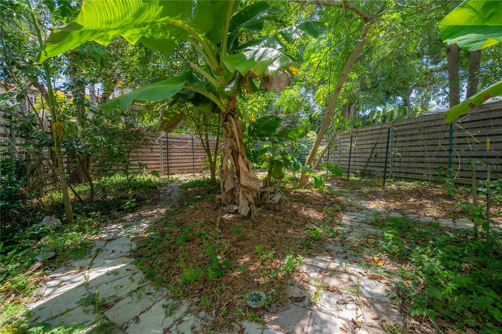 2217 BREVARD RD NE, ST PETERSBURG, FL, 33704