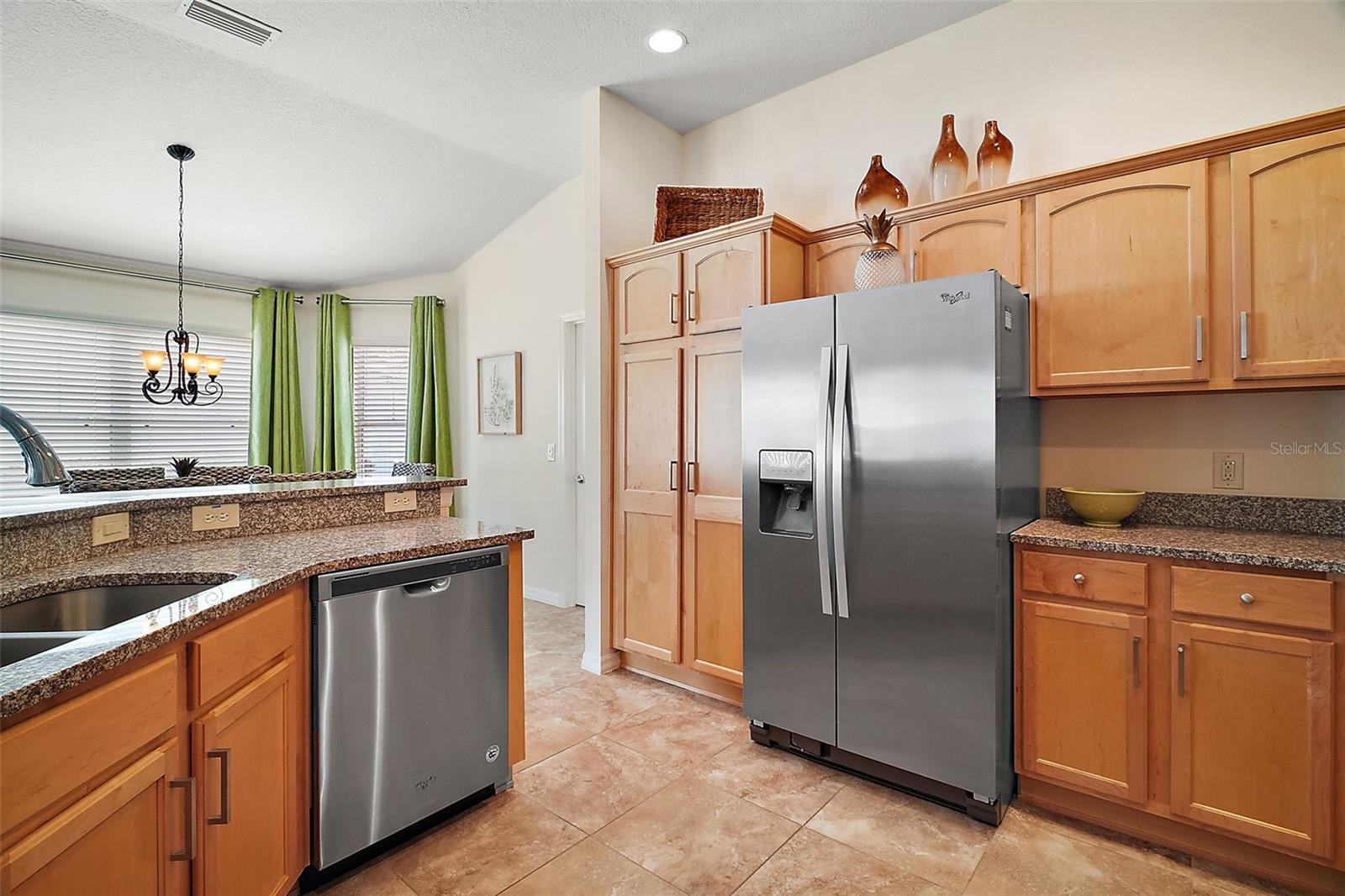 1093 PENINSULA ST, THE VILLAGES, FL, 32162