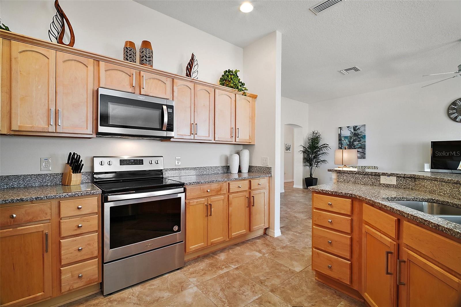 1093 PENINSULA ST, THE VILLAGES, FL, 32162