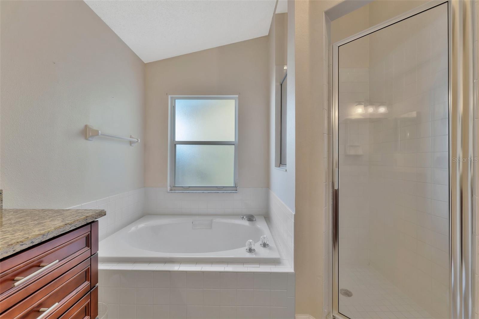 1664 PORTSMOUTH LAKE DR, BRANDON, FL, 33511