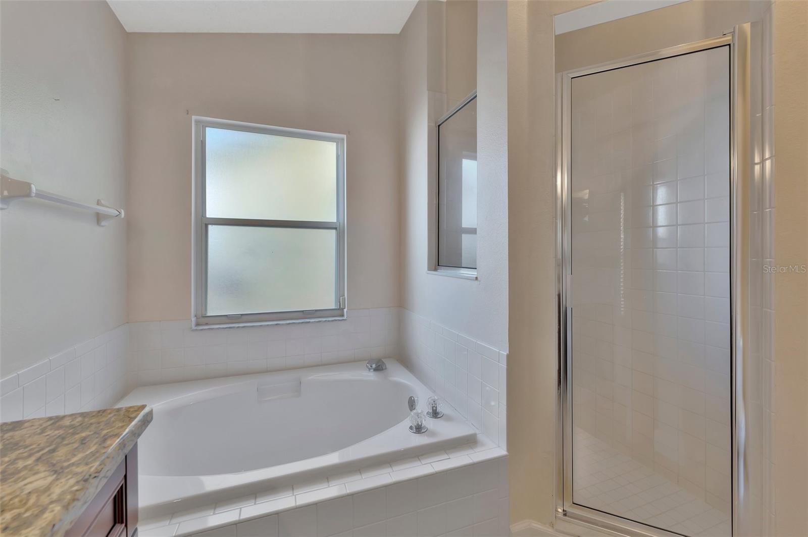 1664 PORTSMOUTH LAKE DR, BRANDON, FL, 33511