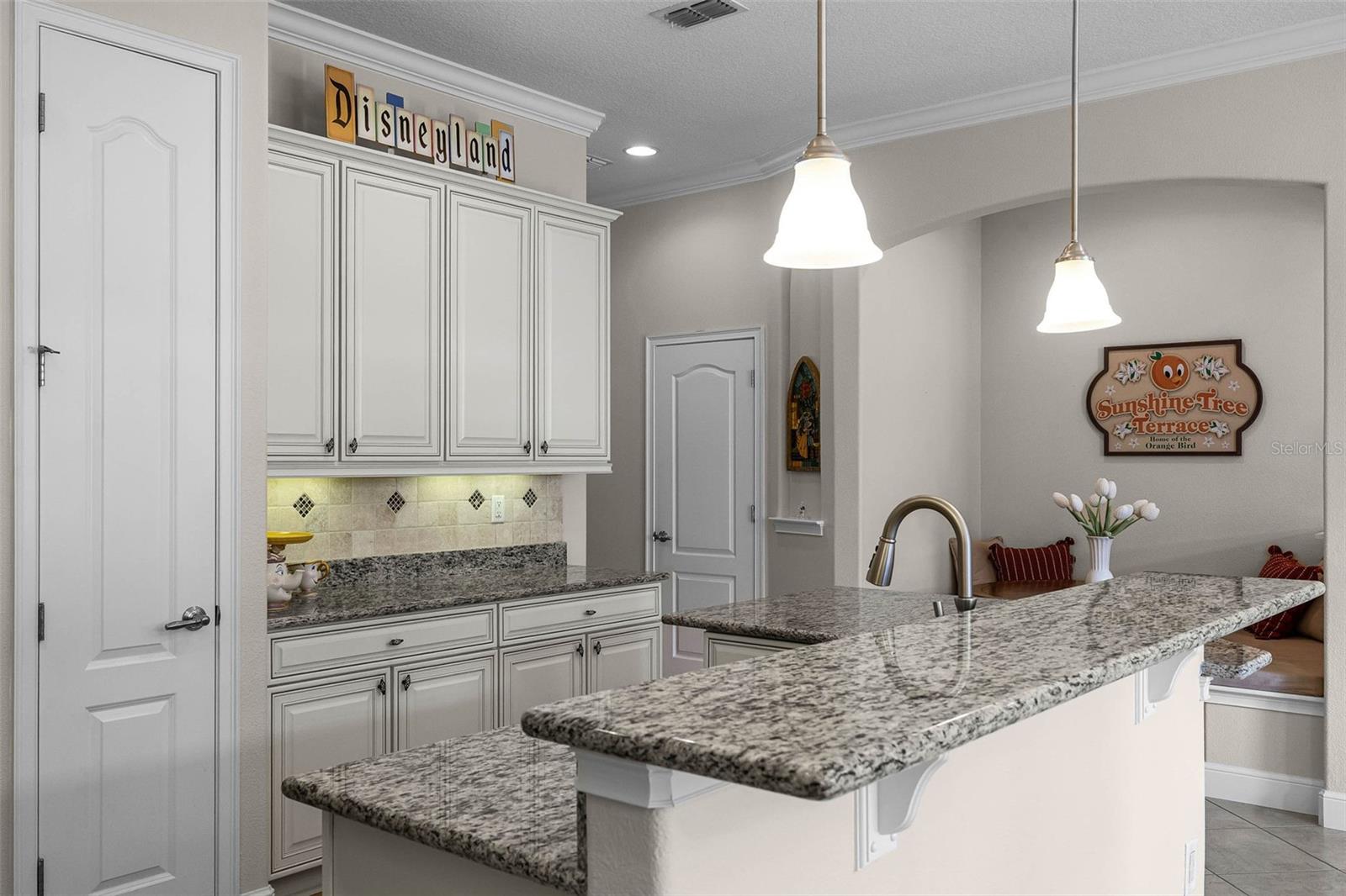 10655 VILLAGE LAKE RD, WINDERMERE, FL, 34786