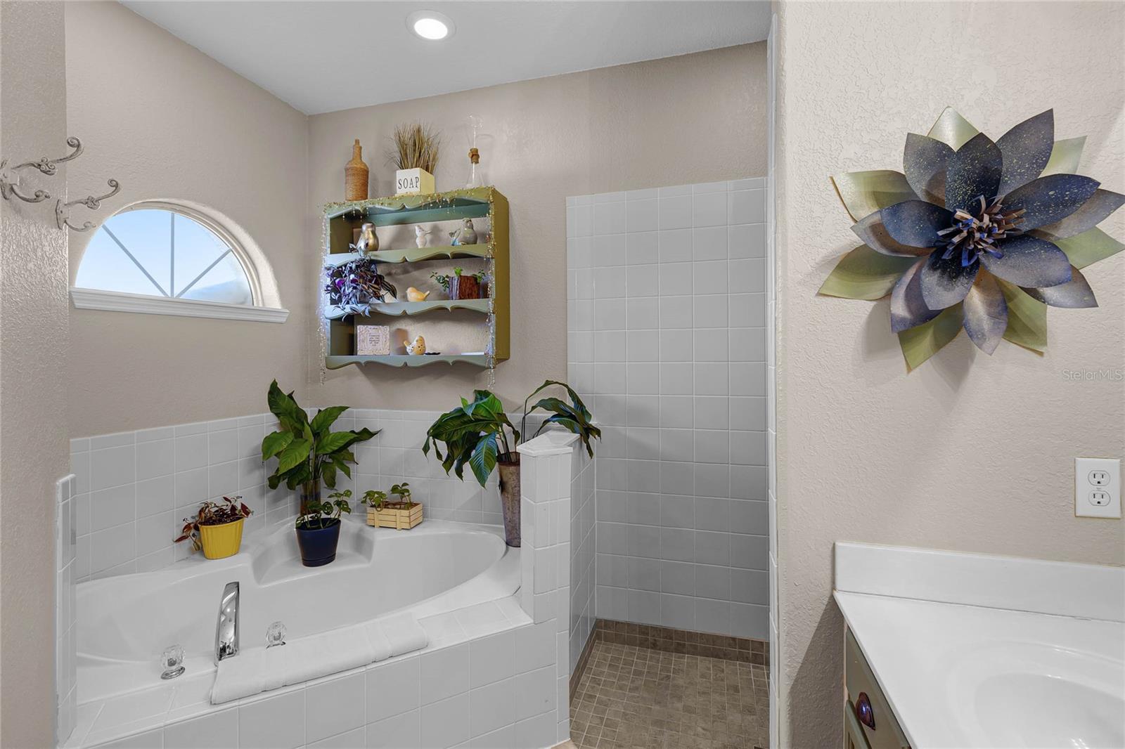 13326 FOUNTAINBLEAU DR, CLERMONT, FL, 34711