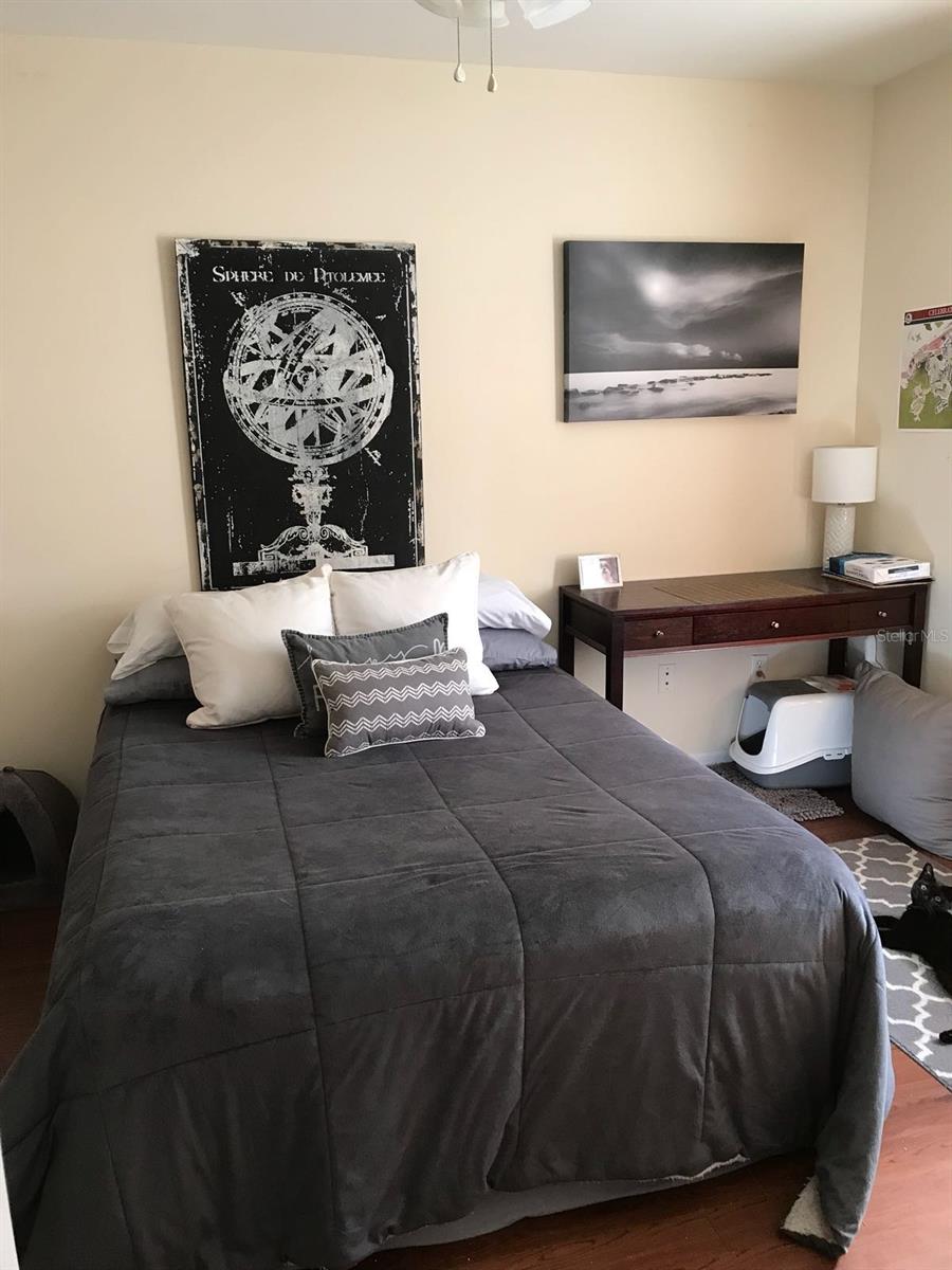 714 SIENA PALM DR #103, CELEBRATION, FL, 34747