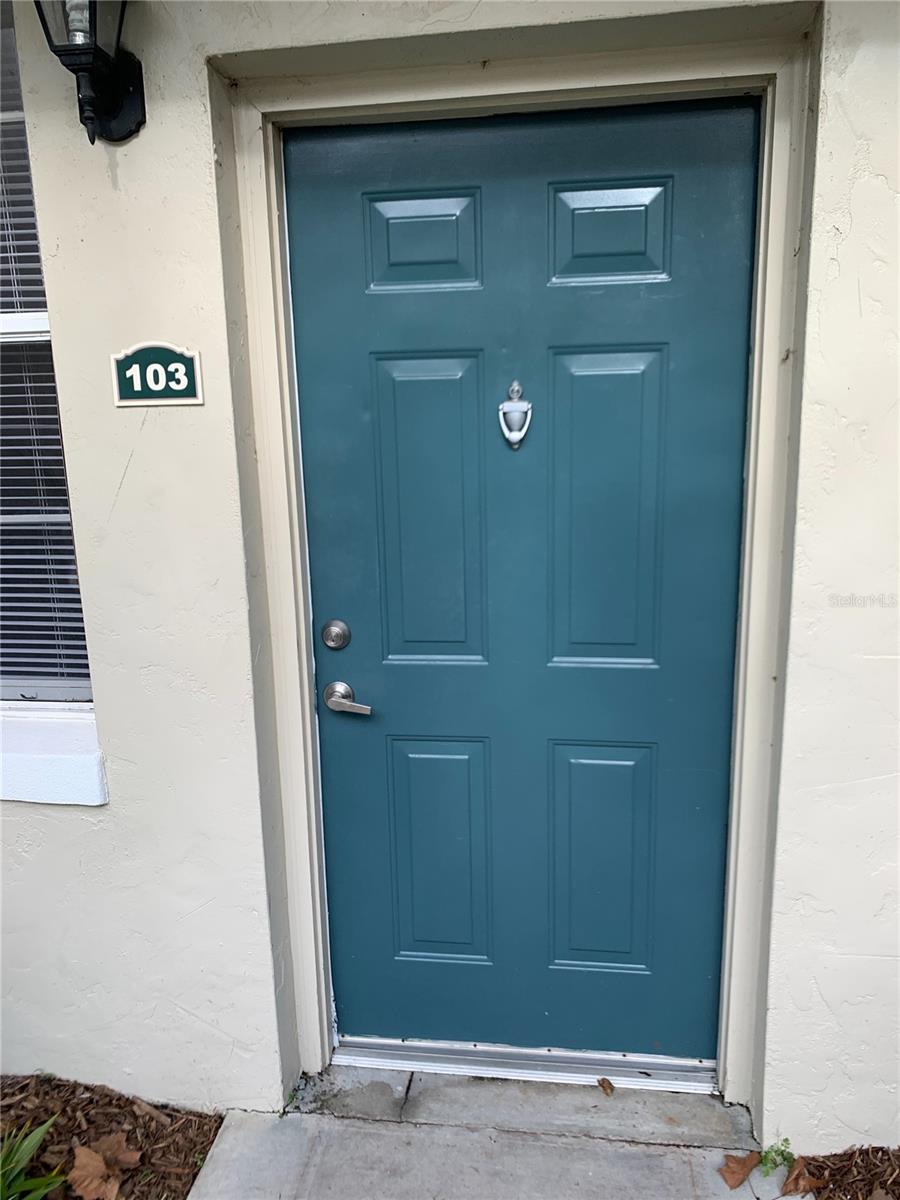 714 SIENA PALM DR #103, CELEBRATION, FL, 34747