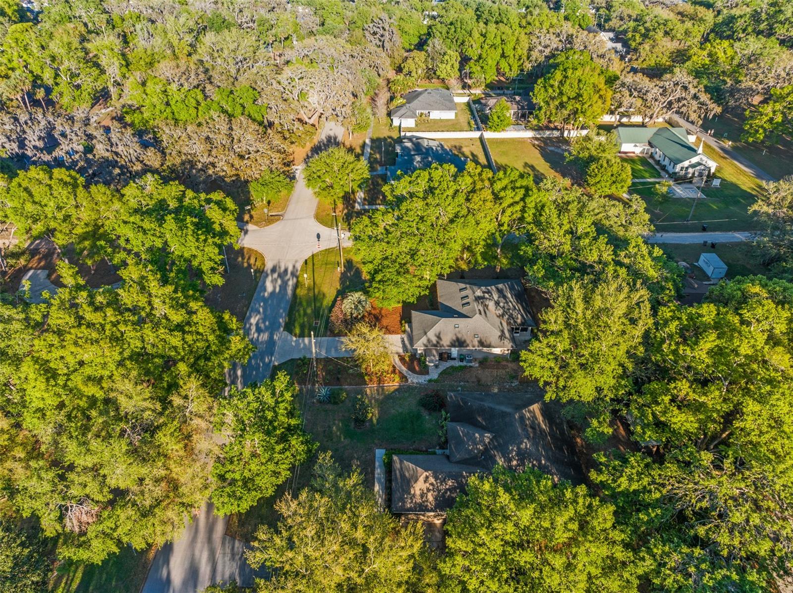 201 BRILEY AVE, OAKLAND, FL, 34760