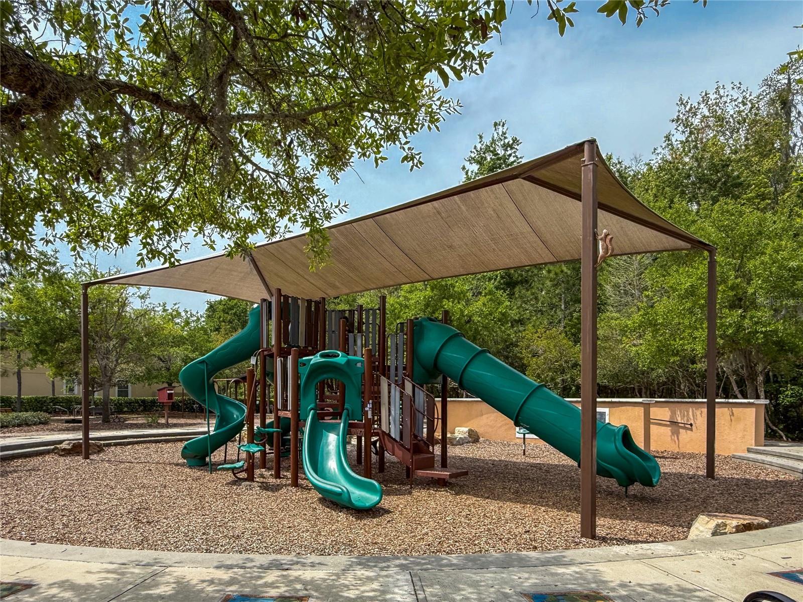 1570 LUDINGTON AVE, WESLEY CHAPEL, FL, 33543