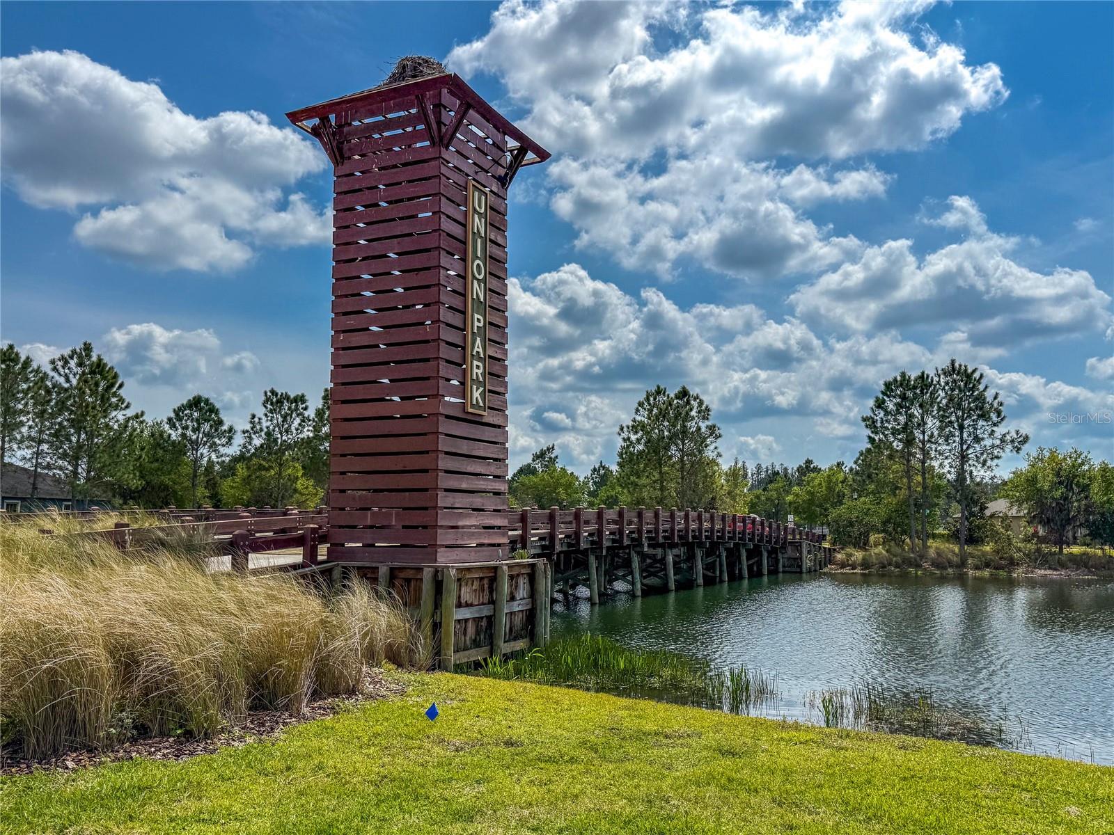 1570 LUDINGTON AVE, WESLEY CHAPEL, FL, 33543