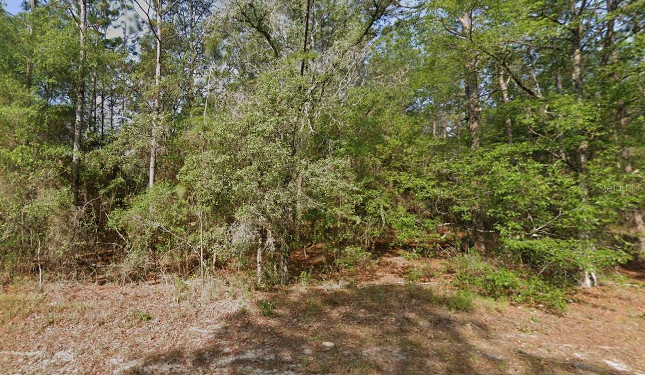 9572 N SANDREE DR, CITRUS SPRINGS, FL, 34434
