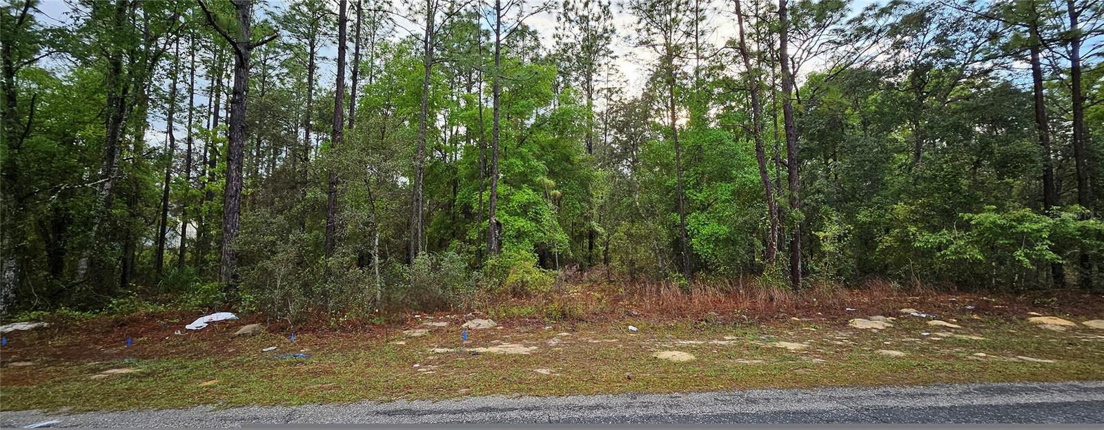 9572 N SANDREE DR, CITRUS SPRINGS, FL, 34434