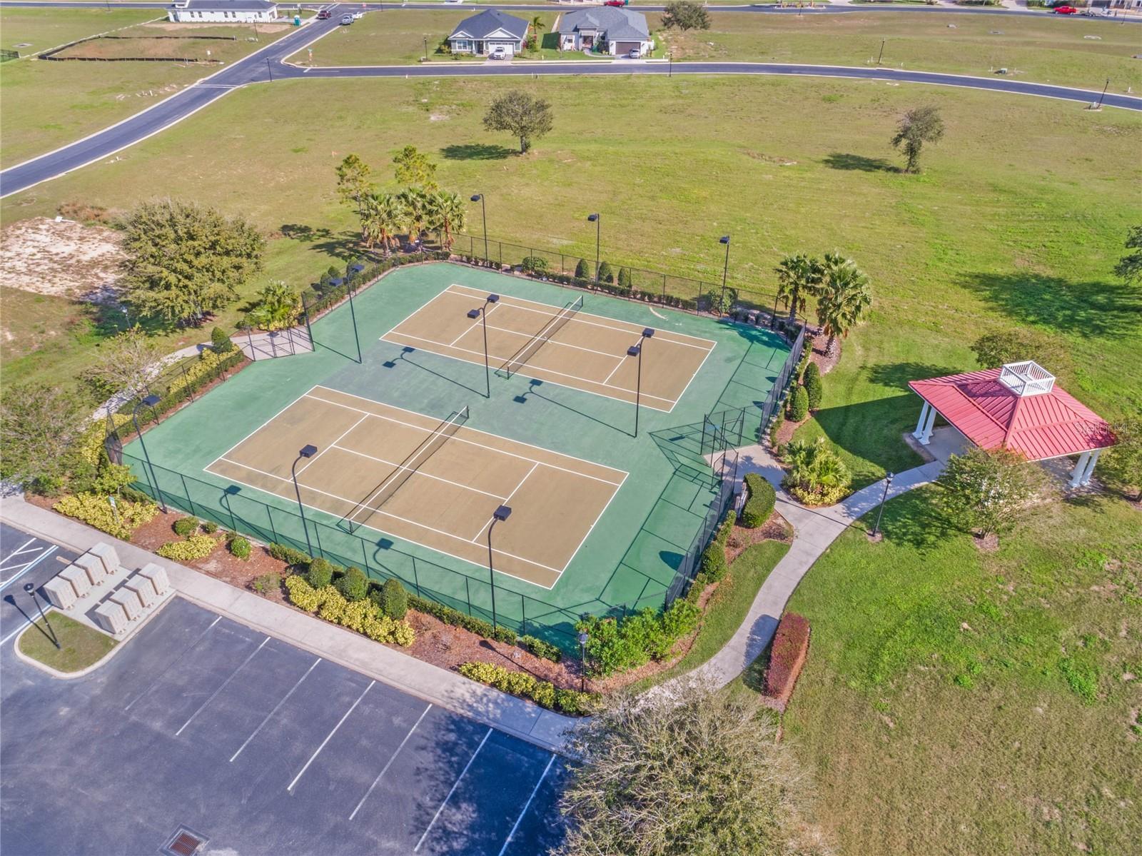 178 BLAZING STAR AVE, LAKE ALFRED, FL, 33850