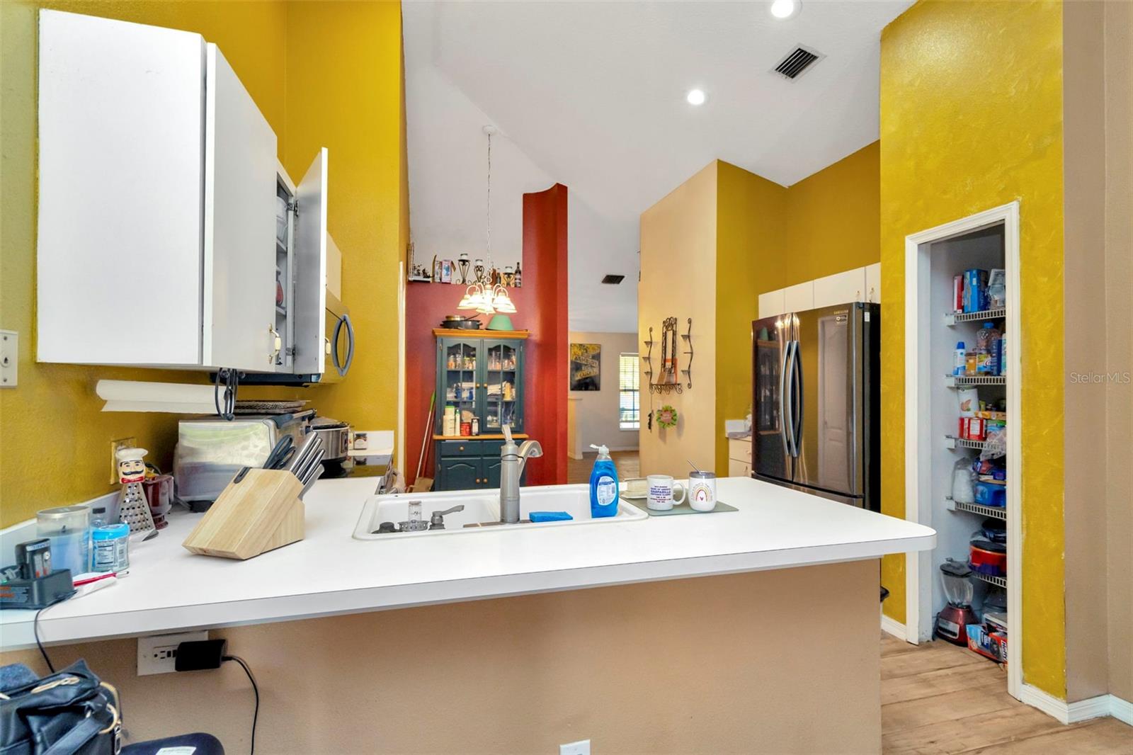 254 CHARDONNAY PL, VALRICO, FL, 33594
