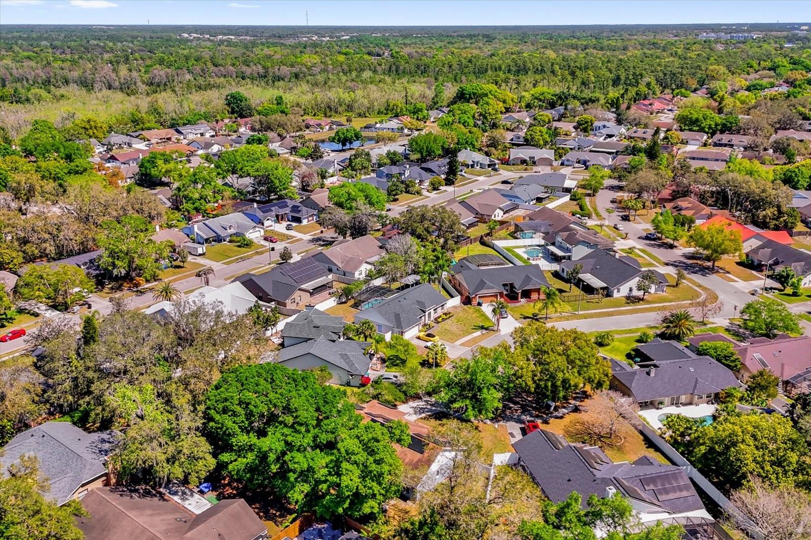 10400 HUNTERS TRAIL CT, ORLANDO, FL, 32817