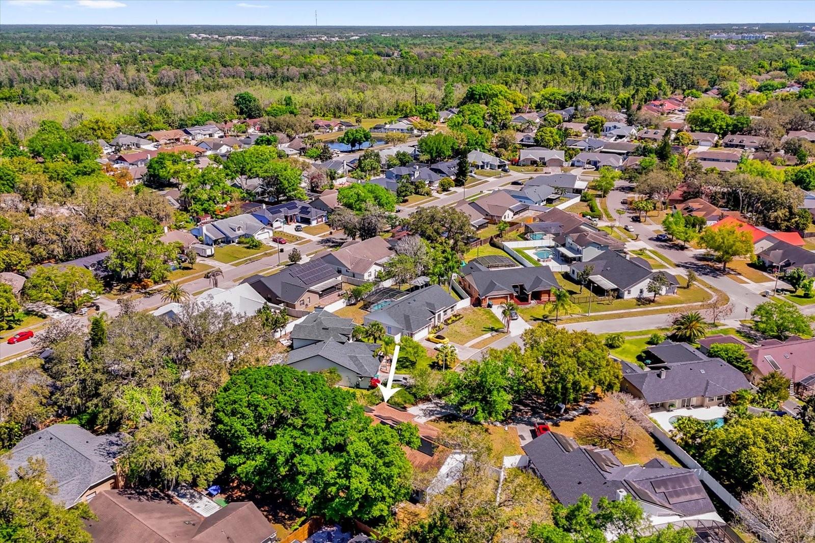 10400 HUNTERS TRAIL CT, ORLANDO, FL, 32817