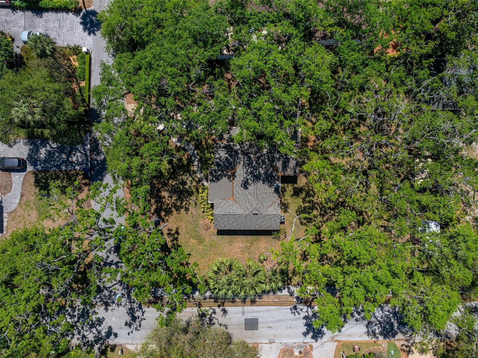 203 S COOLIDGE AVE, TAMPA, FL, 33609