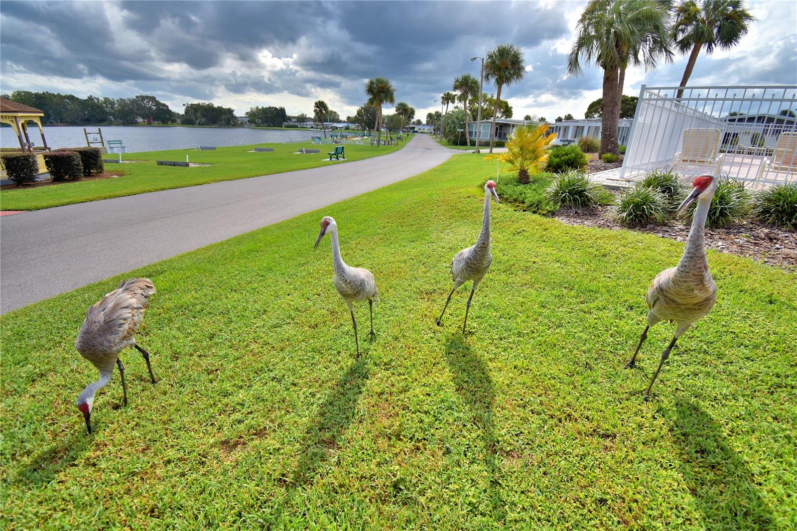 4918 ROSEWOOD ST, WINTER HAVEN, FL, 33880
