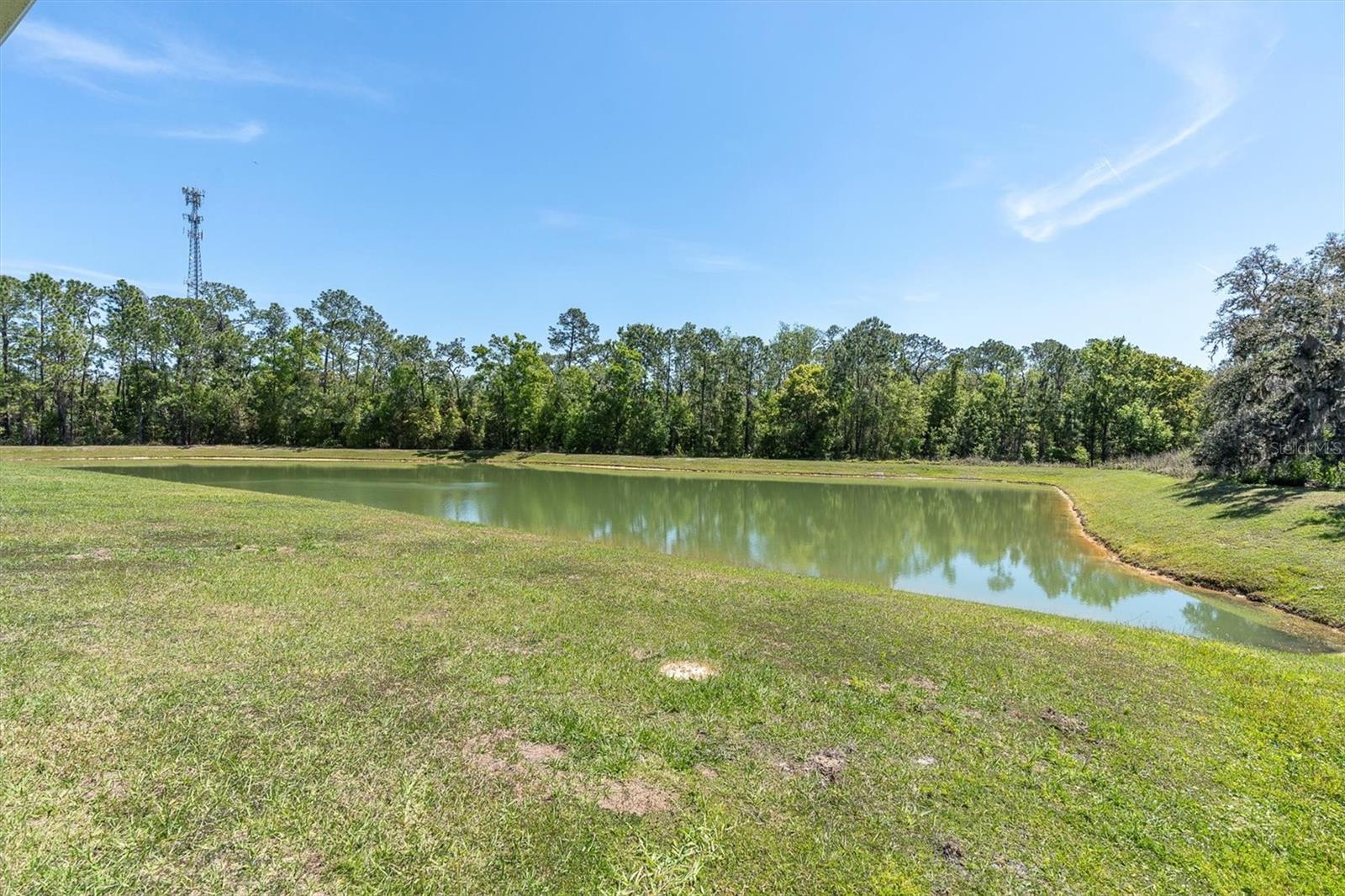 8352 GREENWAY AVE, WESLEY CHAPEL, FL, 33544
