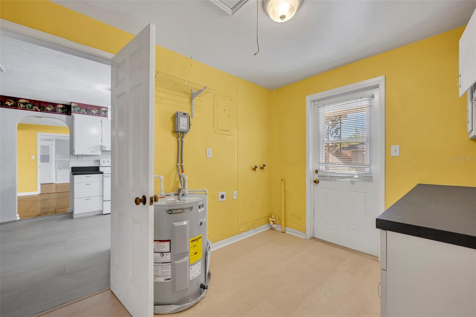 294 W CHARLOTTE AVE, EUSTIS, FL, 32726