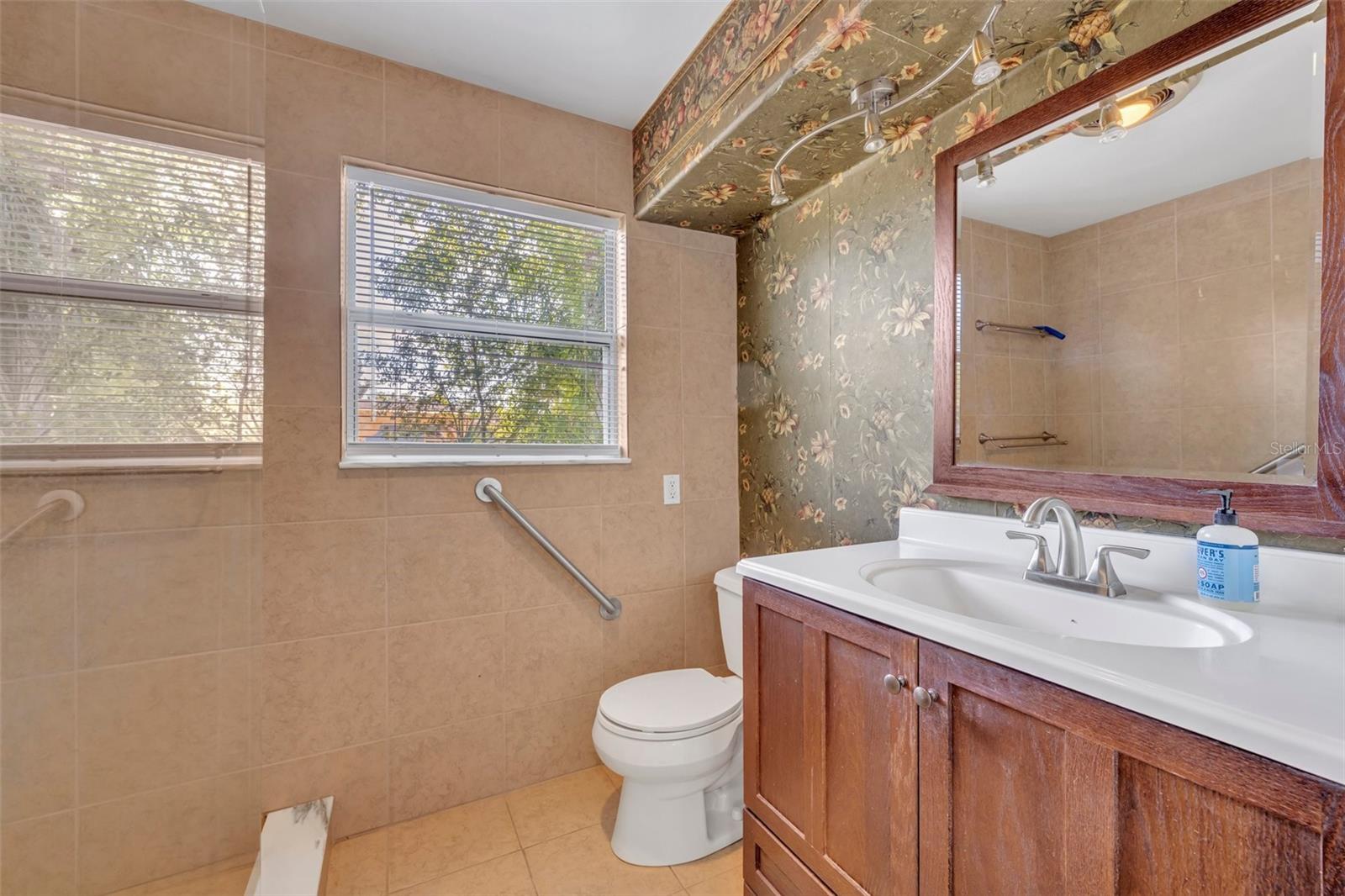 294 W CHARLOTTE AVE, EUSTIS, FL, 32726