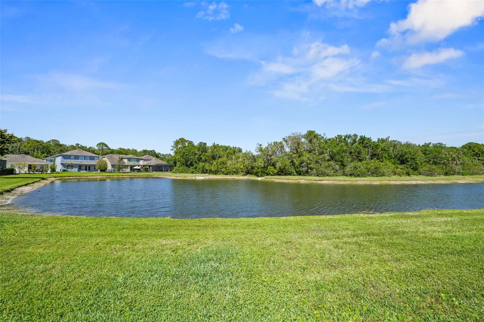 11503 QUIET FOREST DR, TAMPA, FL, 33635