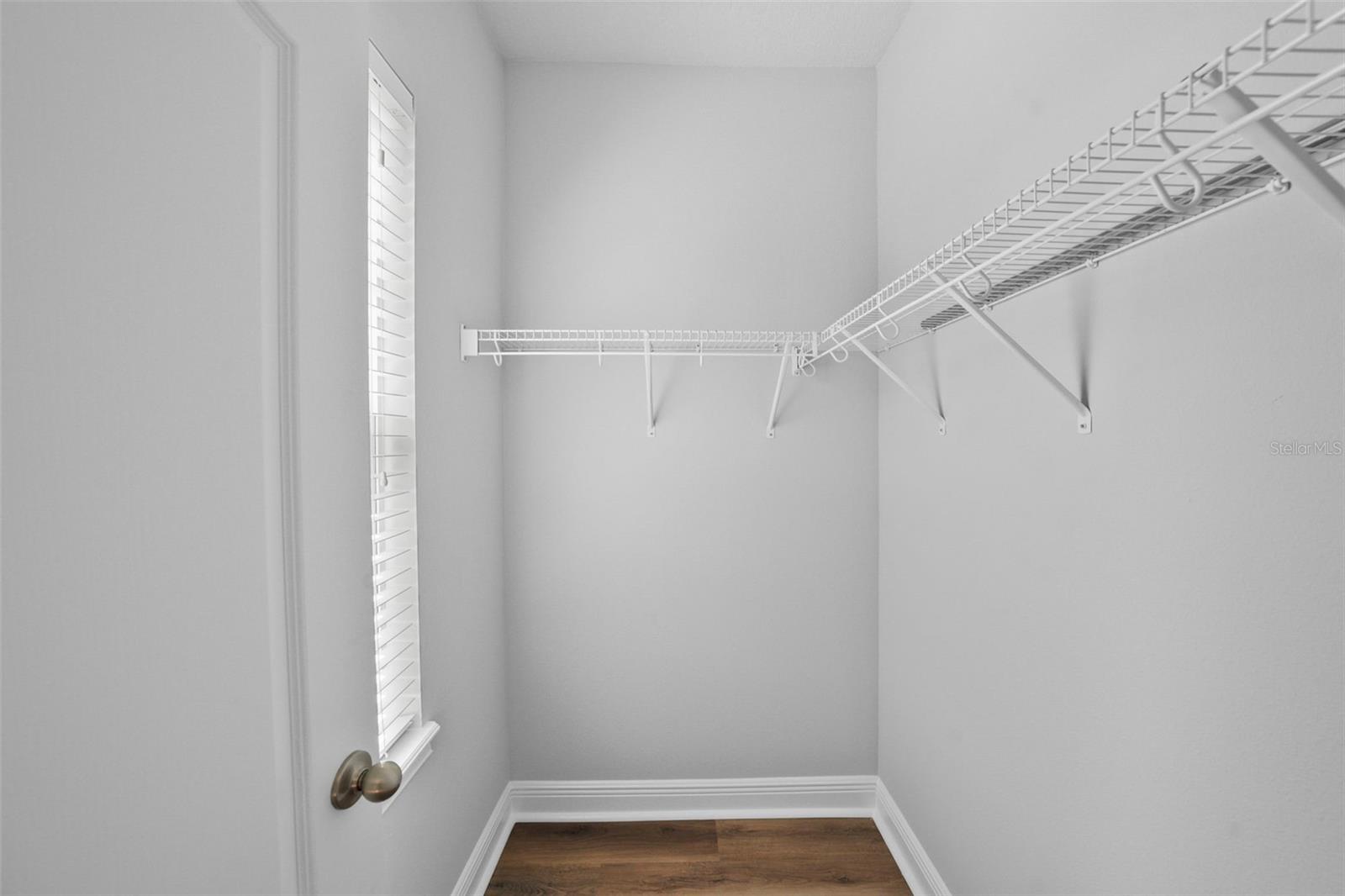 11503 QUIET FOREST DR, TAMPA, FL, 33635