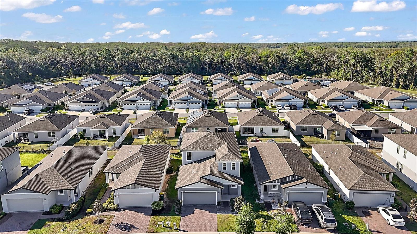 29447 CASPIAN ST, LEESBURG, FL, 34748