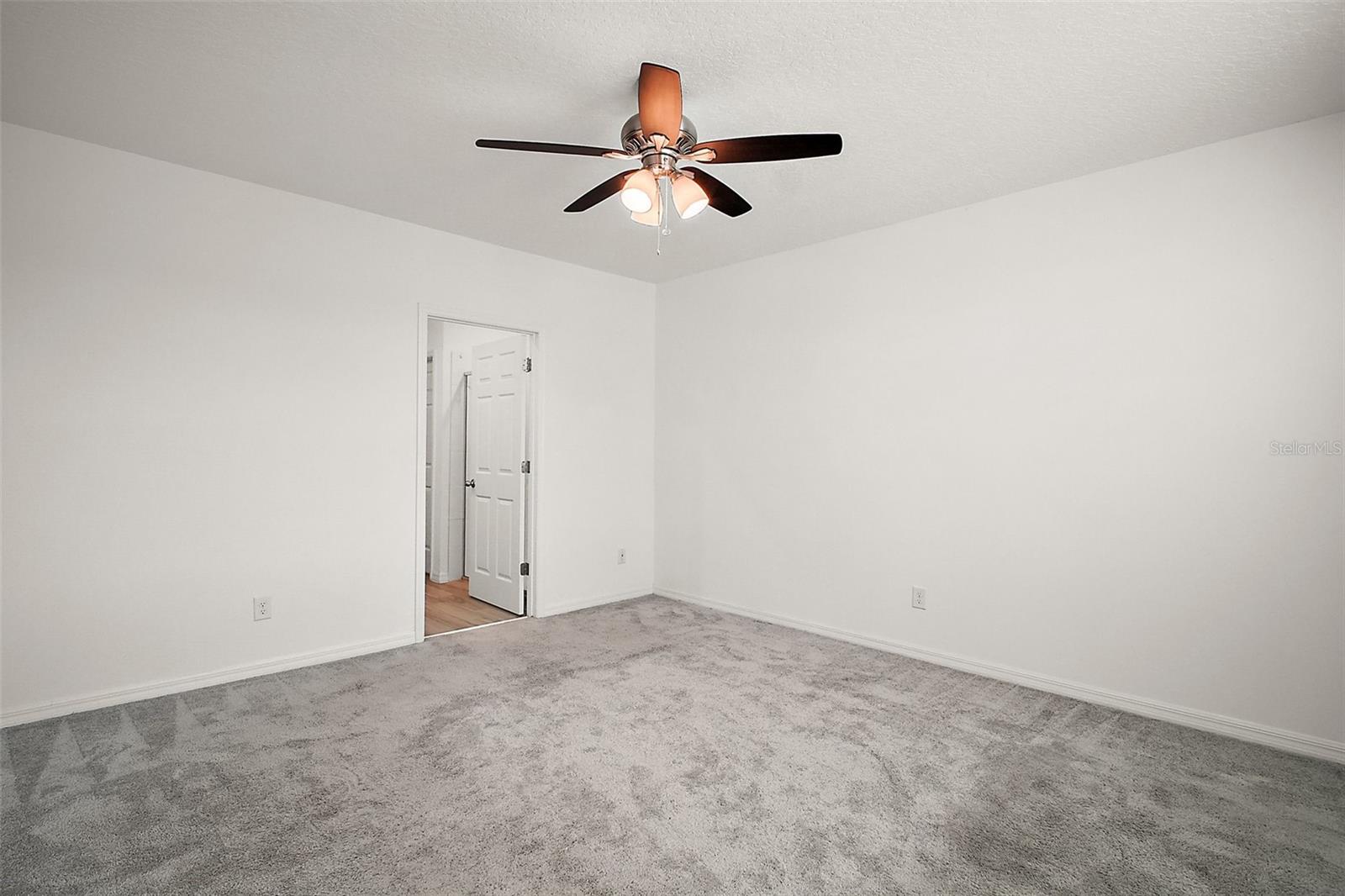 29447 CASPIAN ST, LEESBURG, FL, 34748