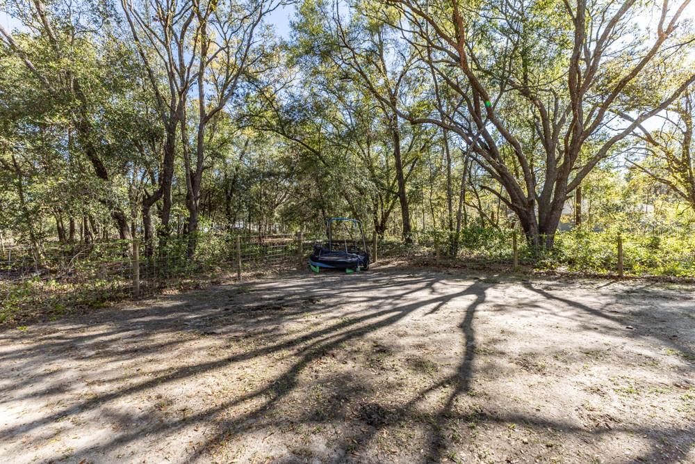 13 BAY COURT RUN, OCKLAWAHA, FL, 32179