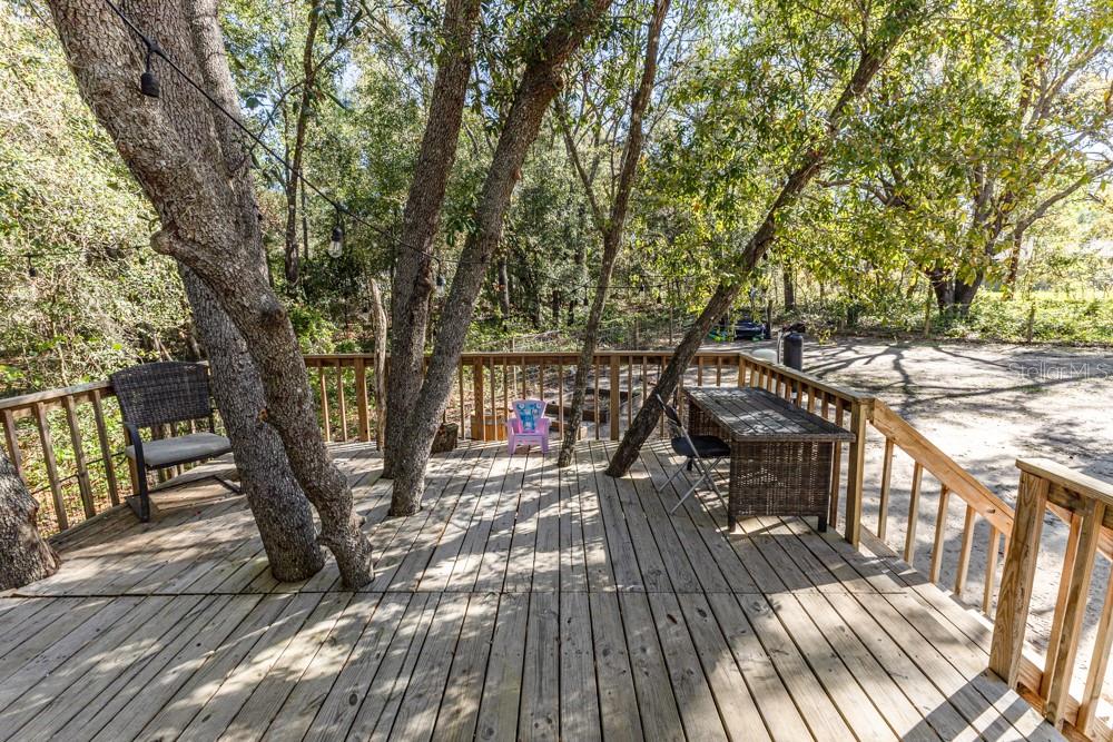 13 BAY COURT RUN, OCKLAWAHA, FL, 32179