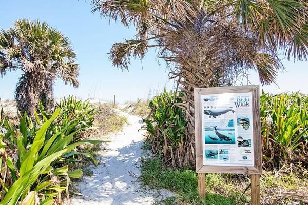 4 C, ST AUGUSTINE BEACH, FL, 32080