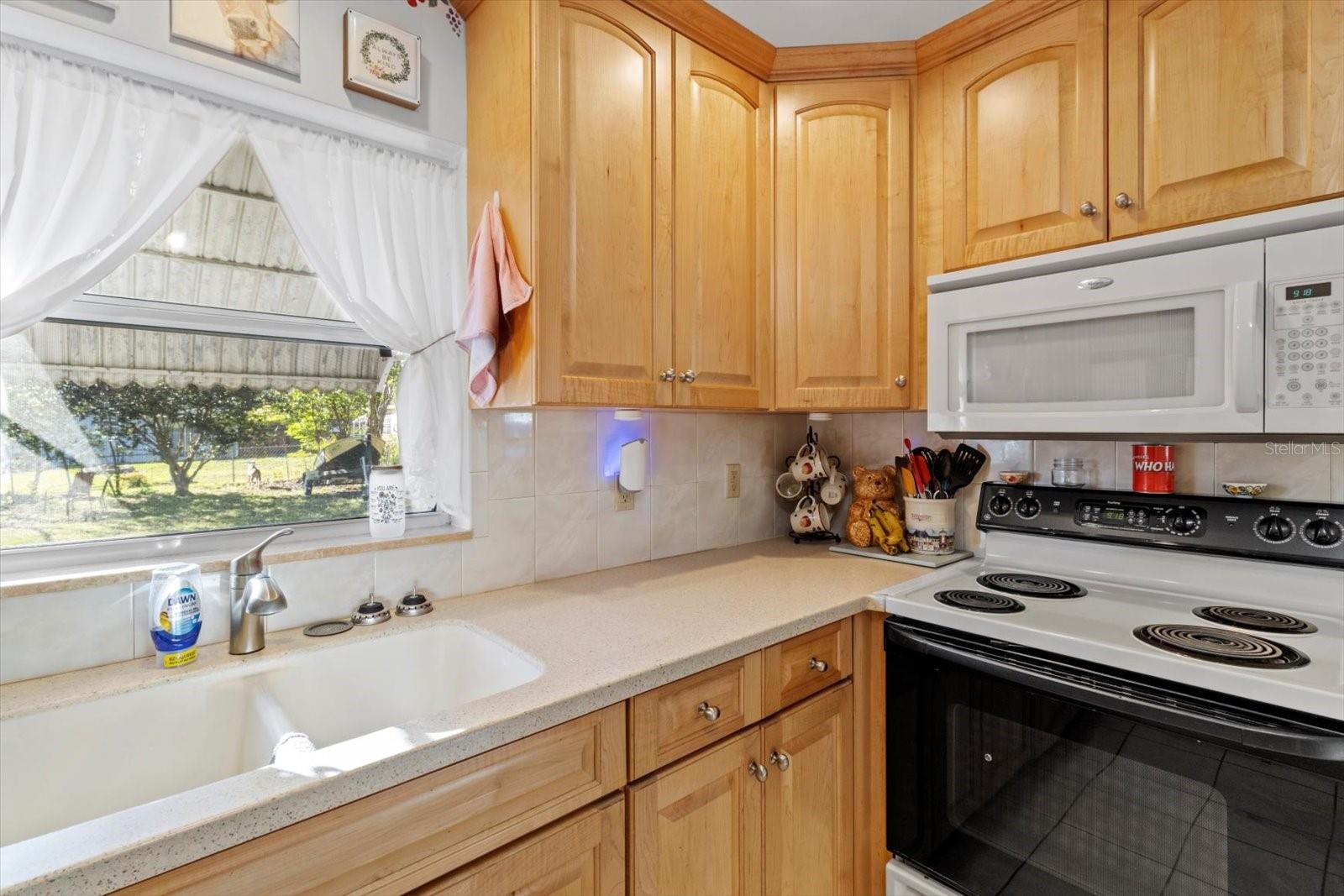 3 S WASHINGTON ST, BEVERLY HILLS, FL, 34465