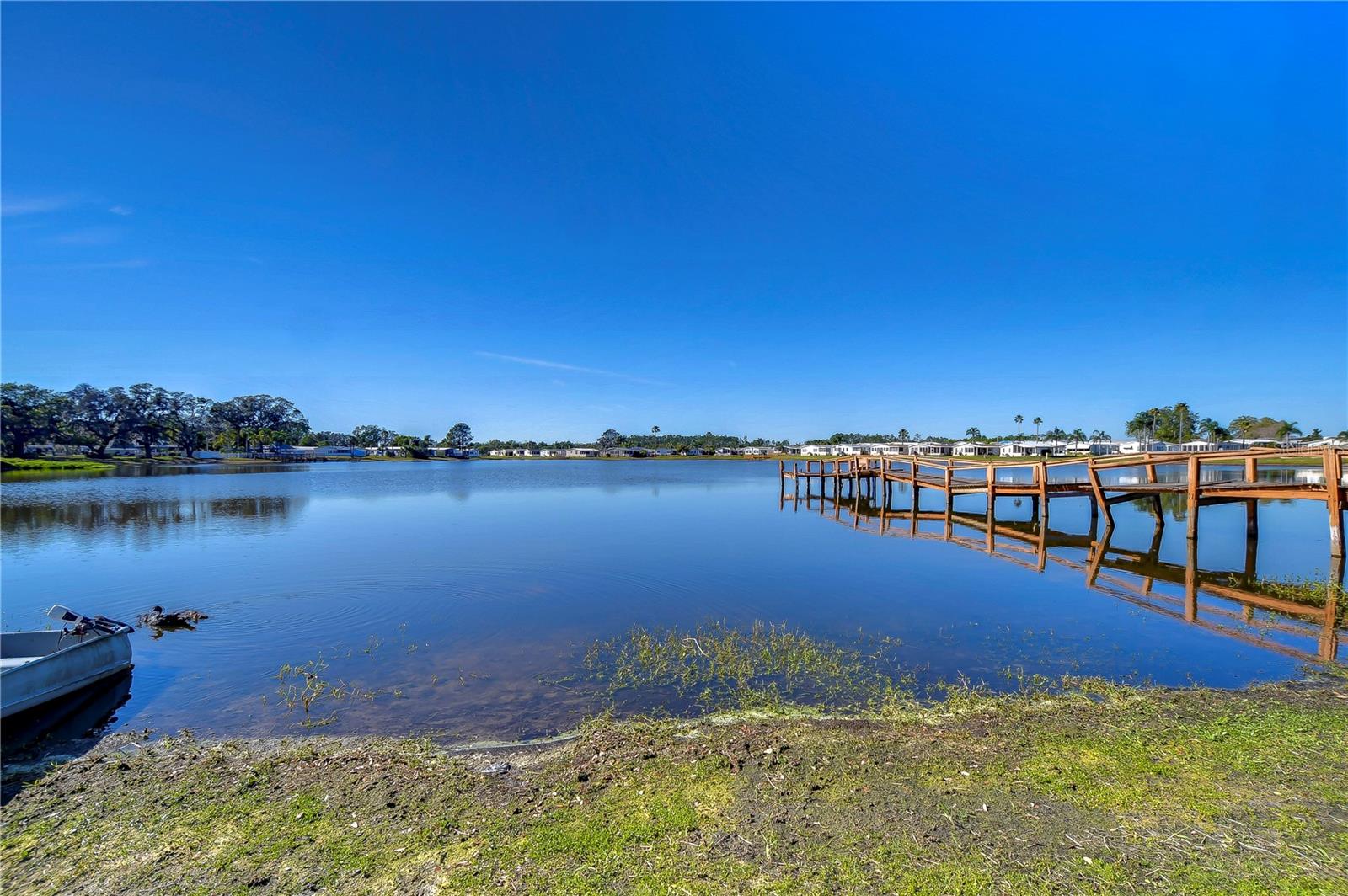 34925 CARL AVE, ZEPHYRHILLS, FL, 33541