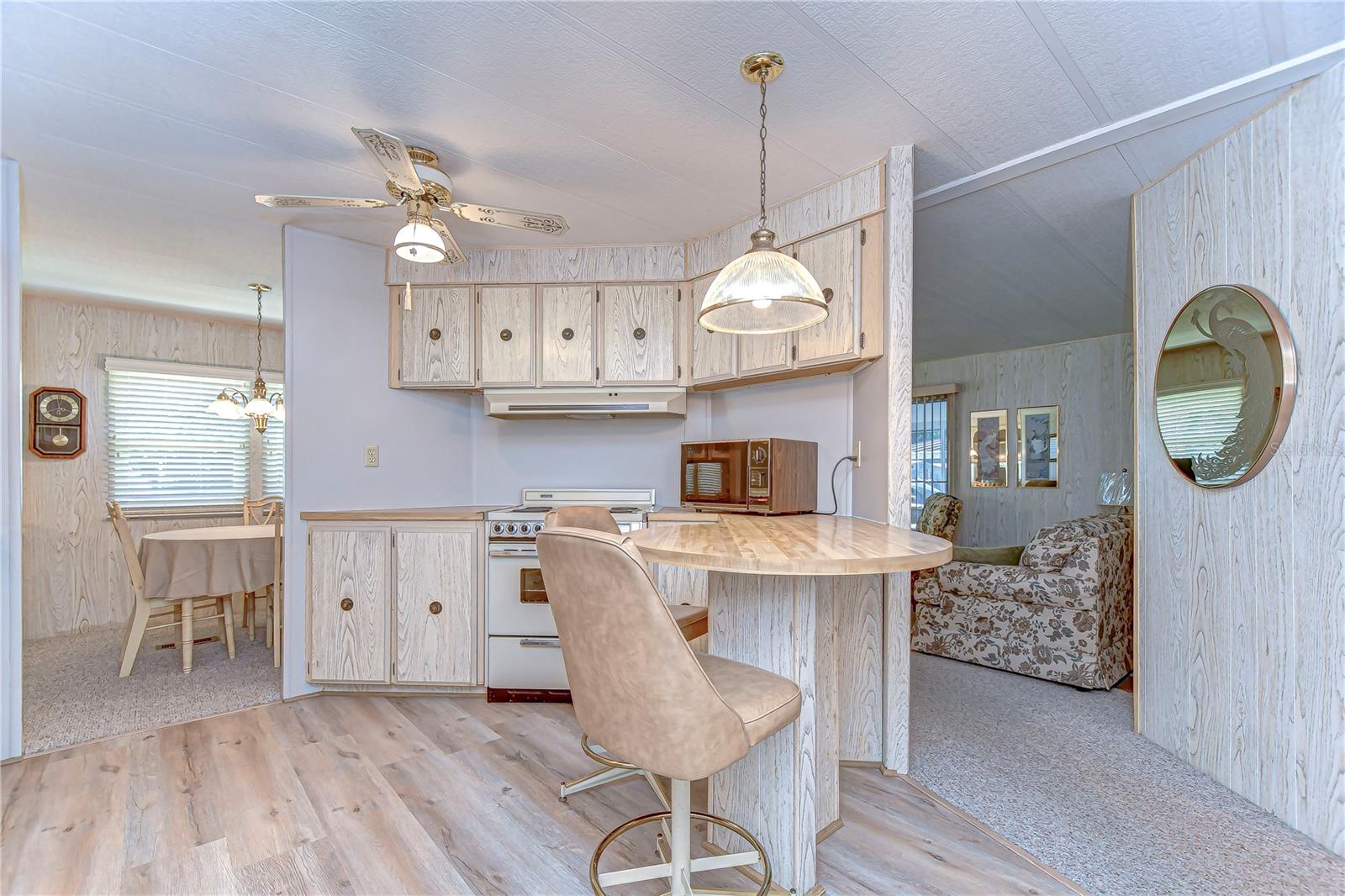 34925 CARL AVE, ZEPHYRHILLS, FL, 33541