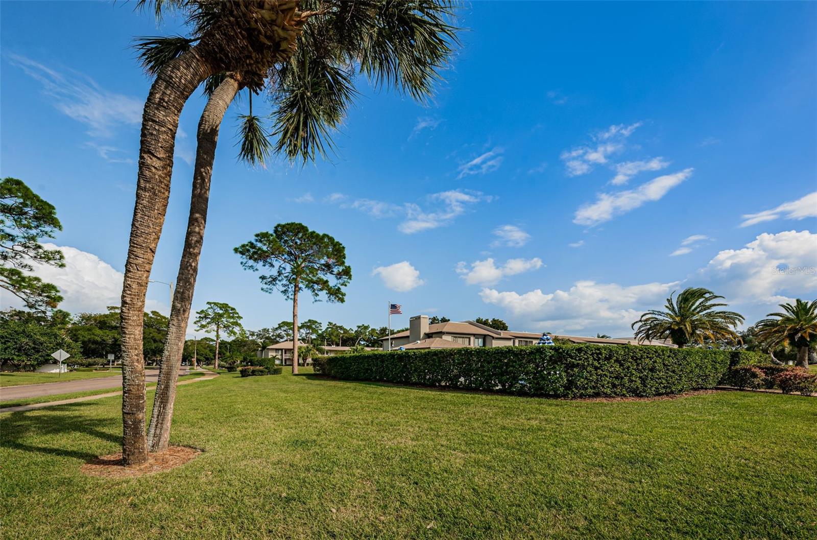 232 NINA WAY #232, OLDSMAR, FL, 34677