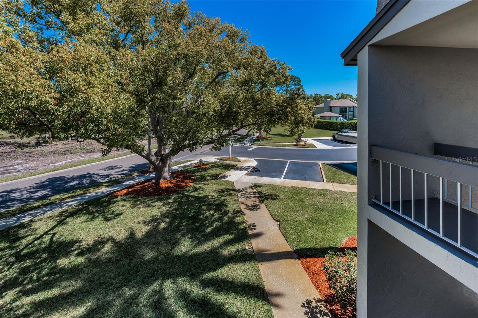 232 NINA WAY #232, OLDSMAR, FL, 34677