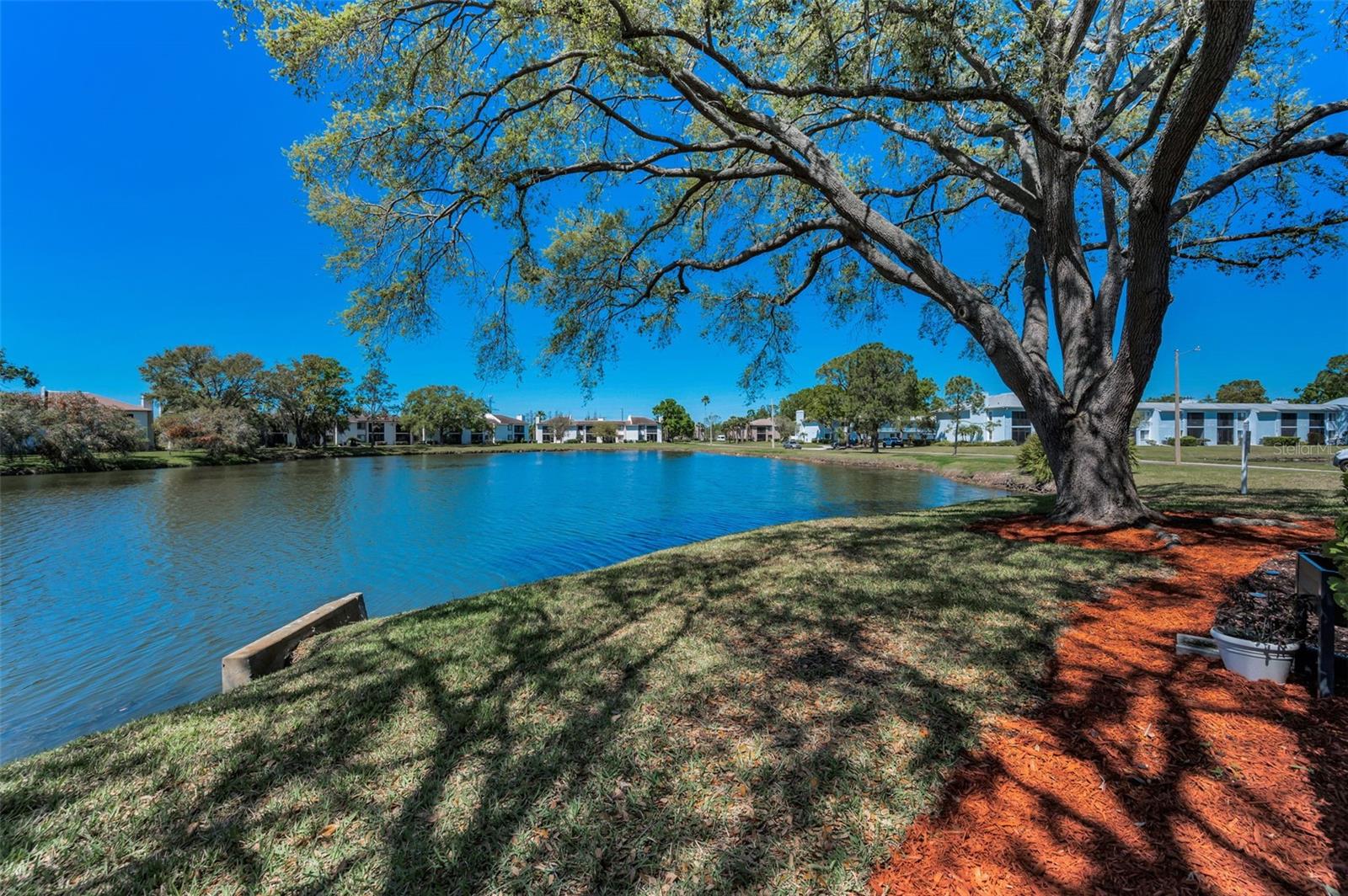 232 NINA WAY #232, OLDSMAR, FL, 34677