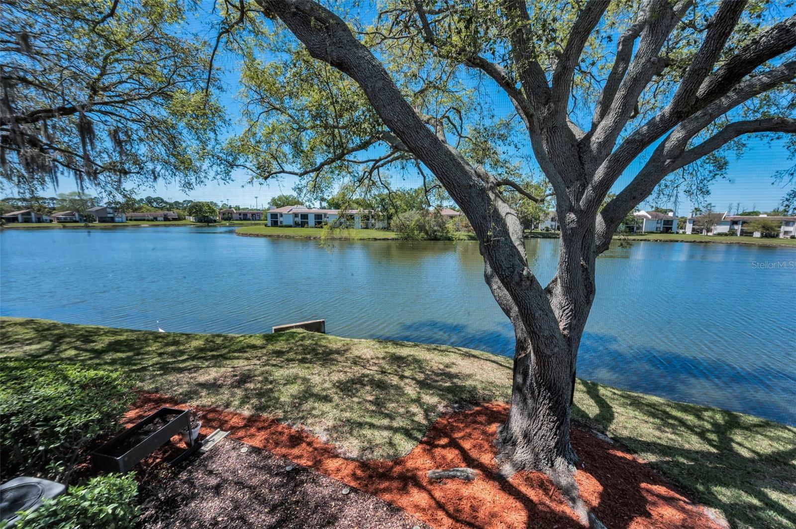 232 NINA WAY #232, OLDSMAR, FL, 34677