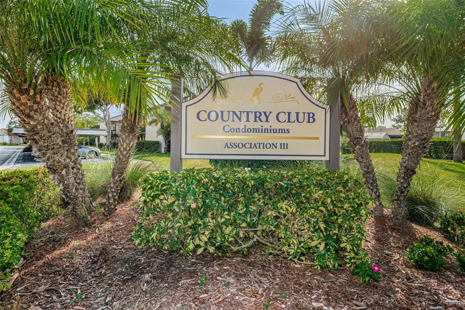 232 NINA WAY #232, OLDSMAR, FL, 34677