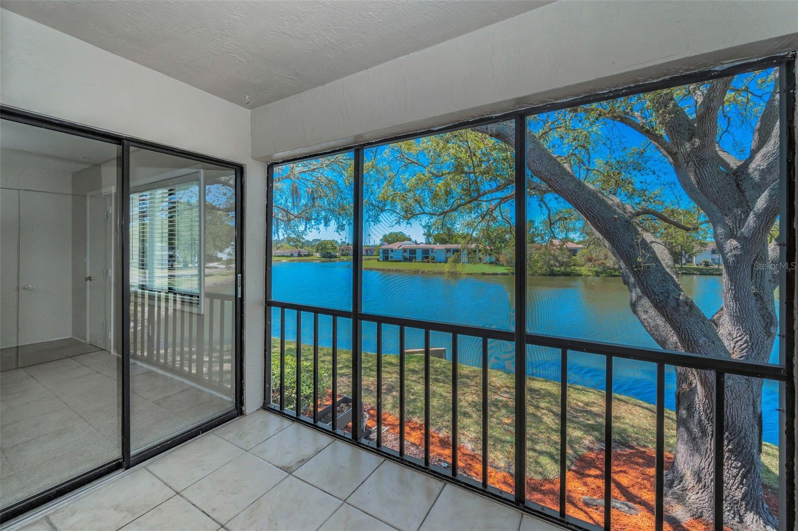 232 NINA WAY #232, OLDSMAR, FL, 34677